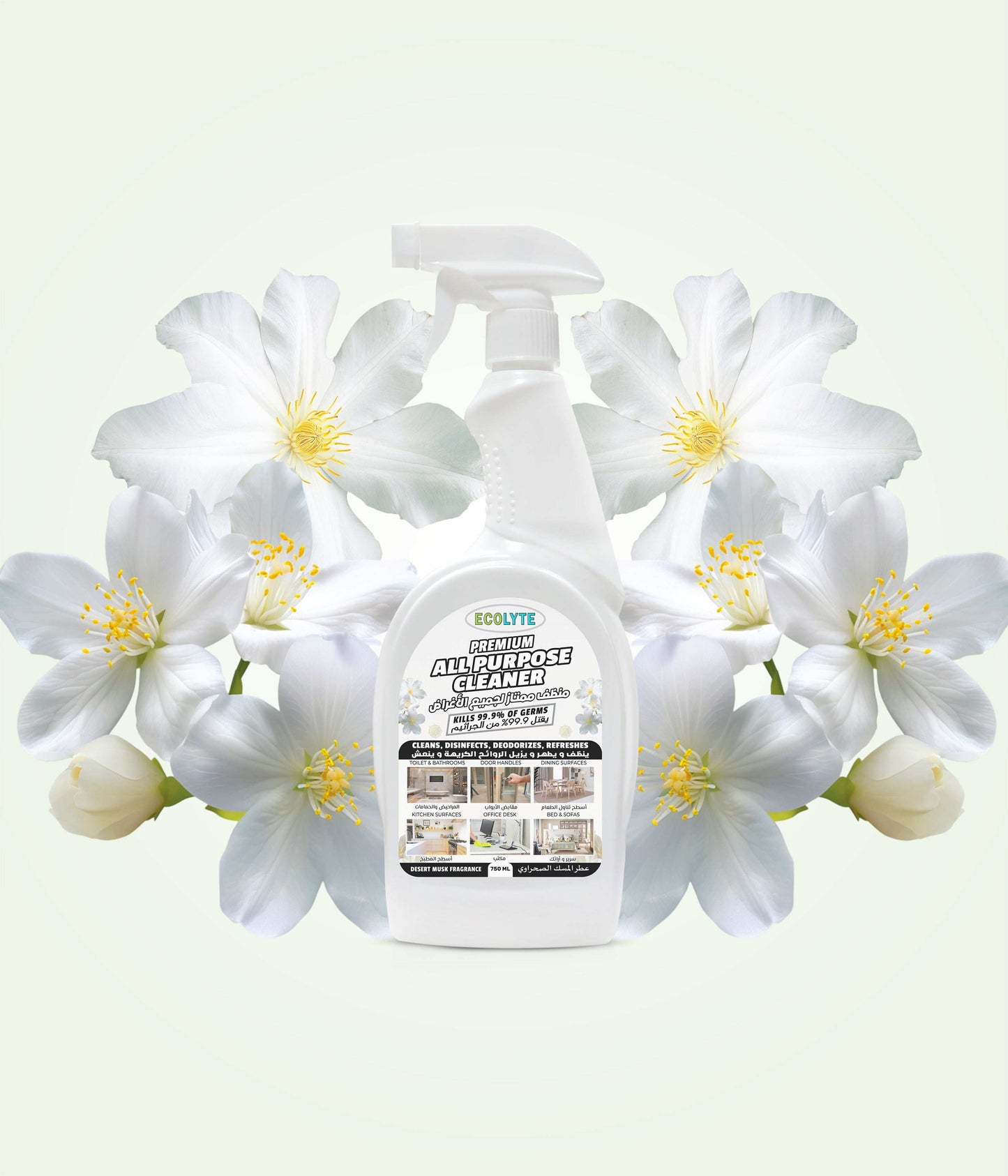All Purpose Cleaner
