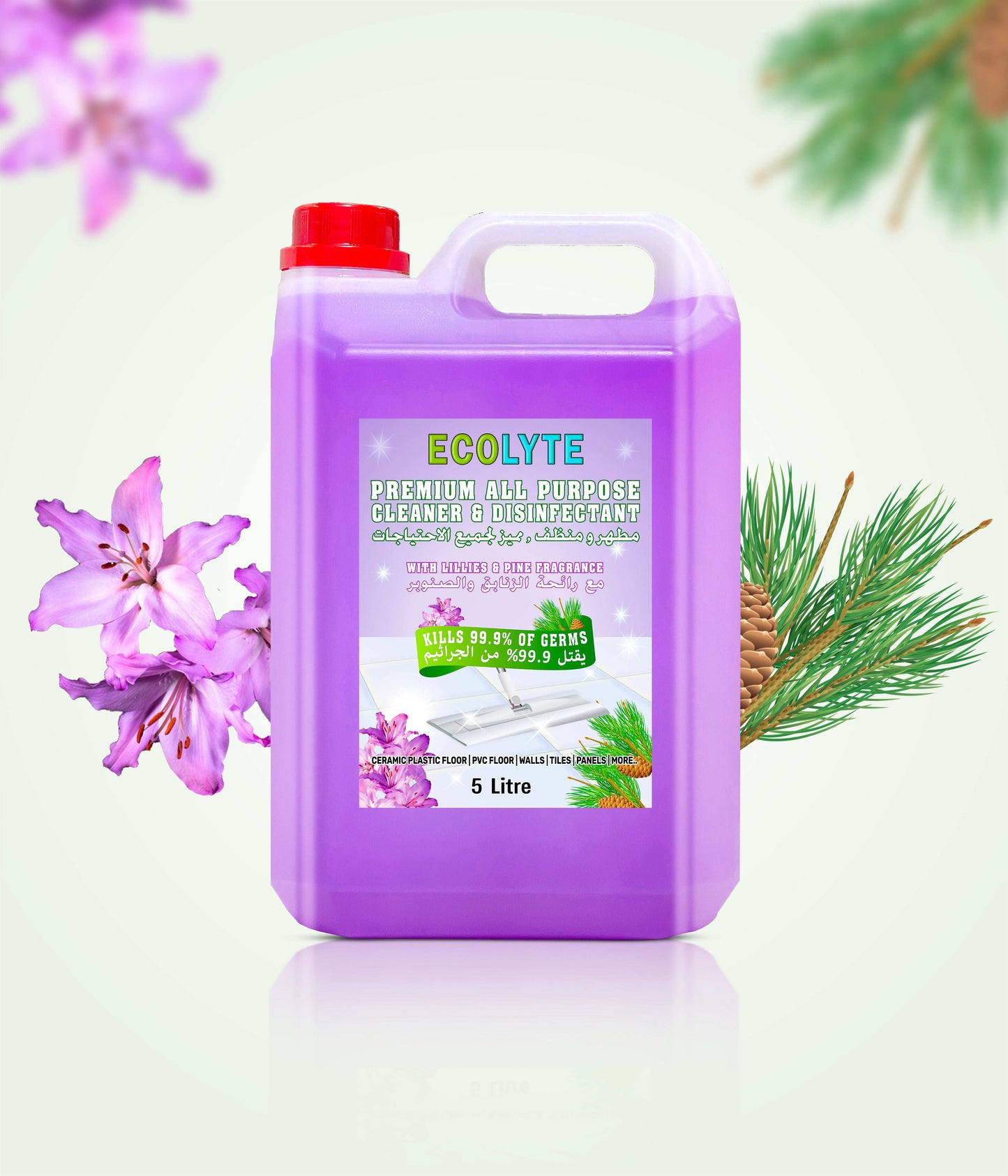 Floor Cleaner All Purpose Cleaner Plus Disinfectant