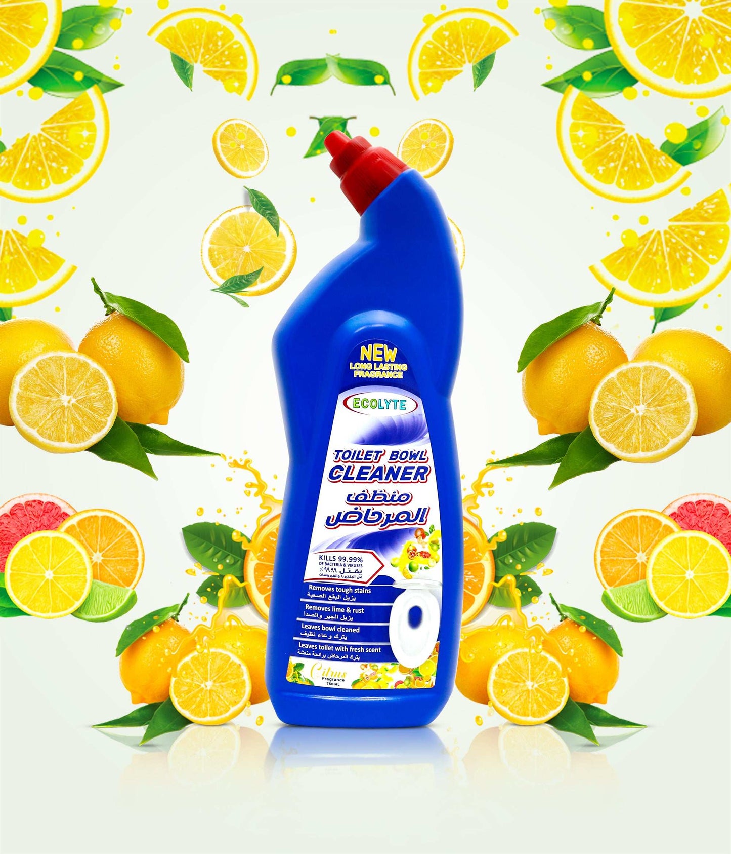 Toilet Bowl Cleaner