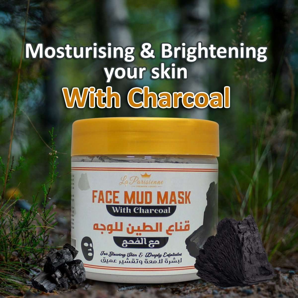 Face Mud Mask - Ecolyte Plus