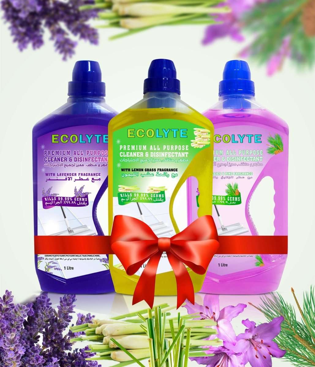 Floor Cleaner (All in one) Bundle - Ecolyte Plus