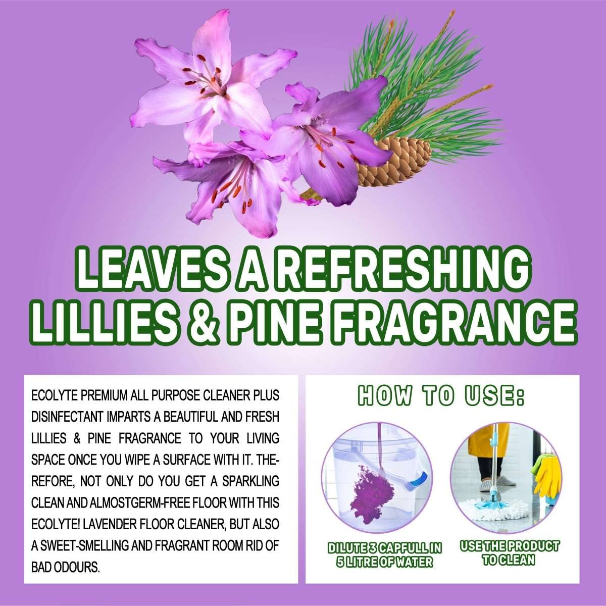 Household Essentials Bundle - Ecolyte Plus