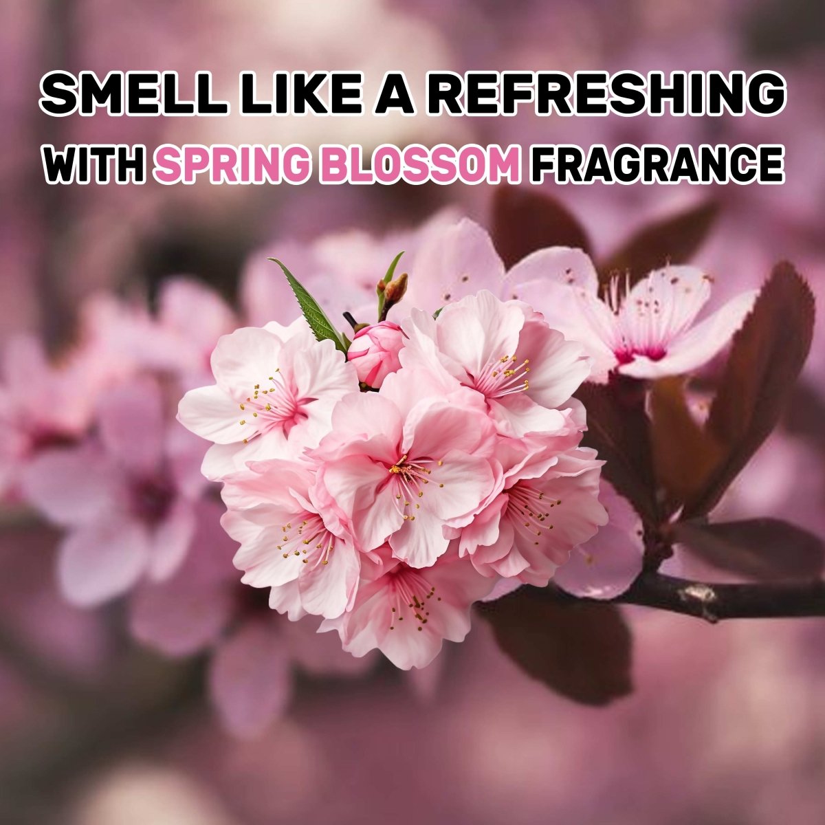 Liquid Laundry Detergent - (Ocean Breeze, Spring Blossom, Morning Oud & Royal Roses - 2 Liter, Pack of 4) - Ecolyte Plus