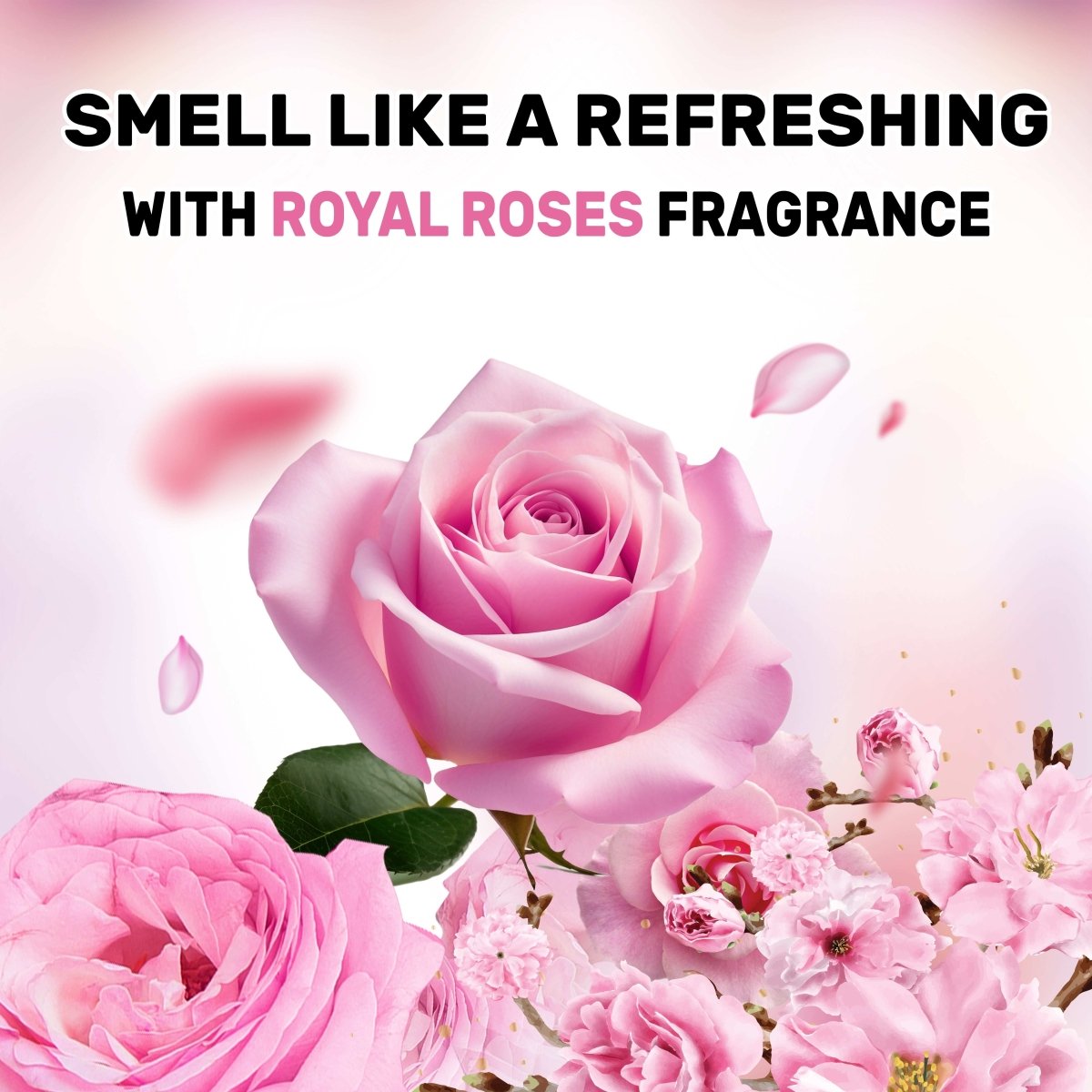 Liquid Laundry Detergent - (Ocean Breeze, Spring Blossom, Morning Oud & Royal Roses - 2 Liter, Pack of 4) - Ecolyte Plus