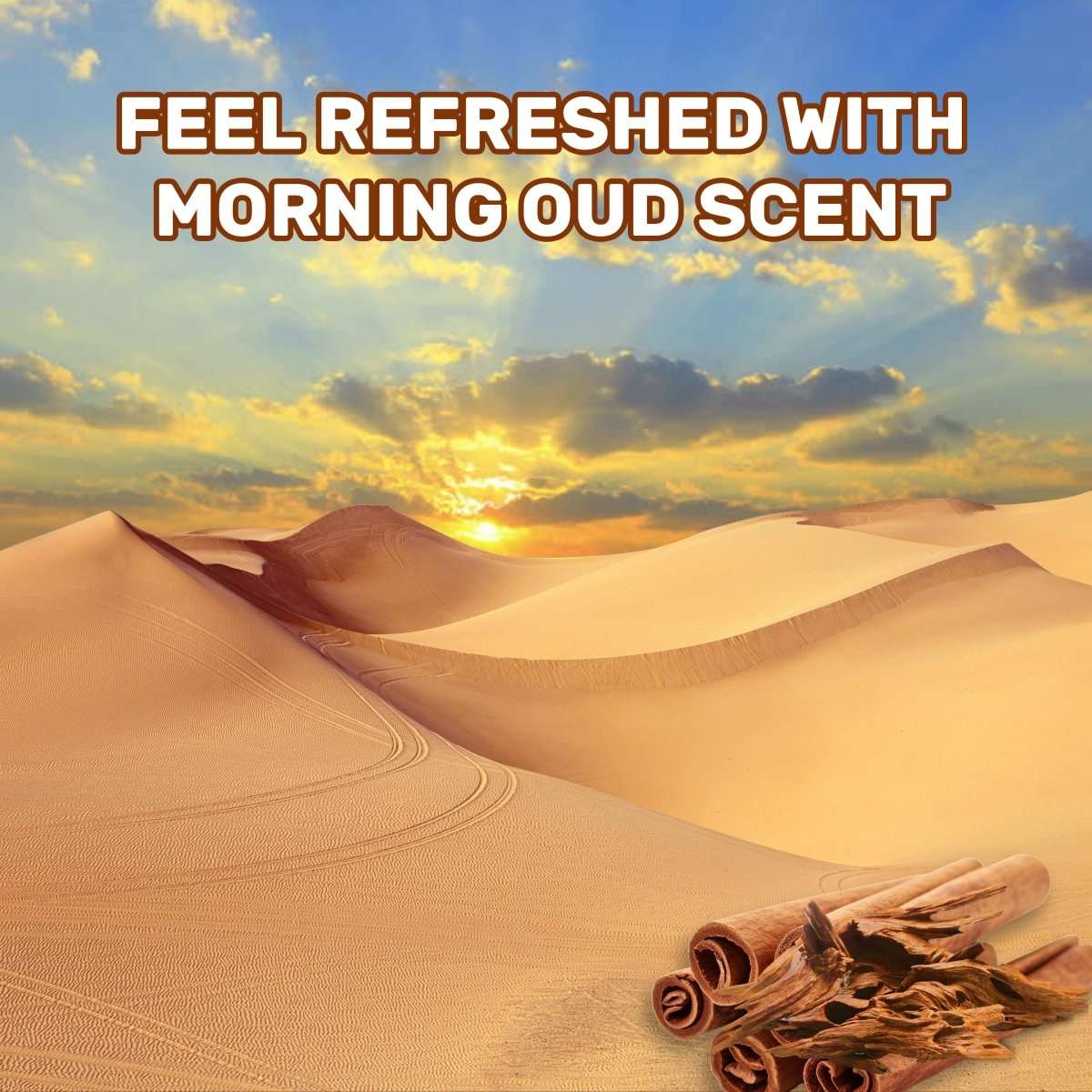 Liquid Laundry Detergent - (Ocean Breeze, Spring Blossom, Morning Oud & Royal Roses - 2 Liter, Pack of 4) - Ecolyte Plus