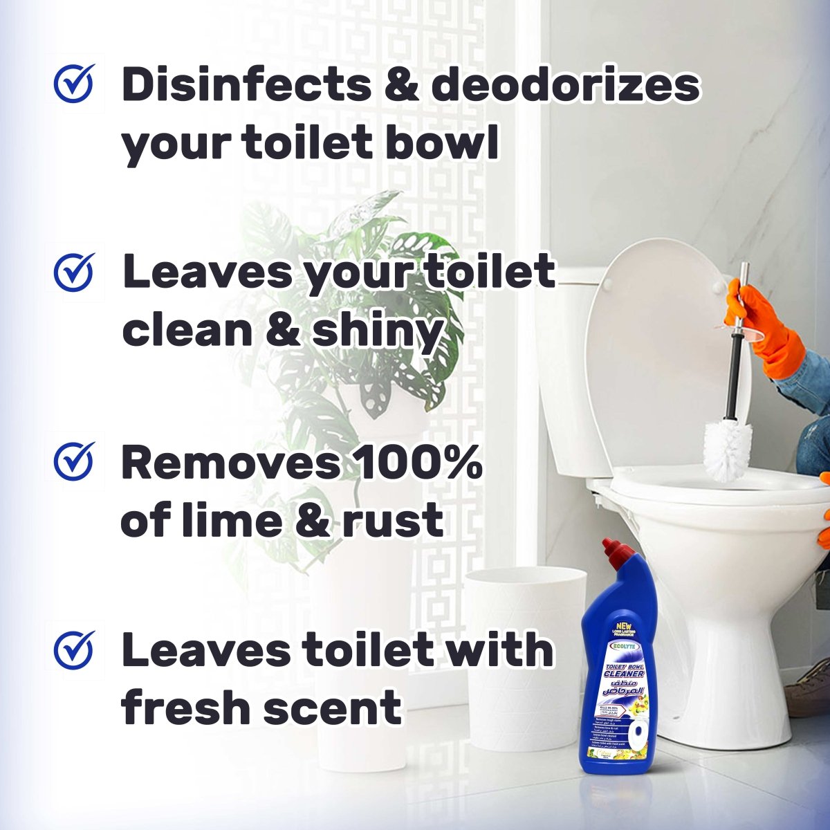 Toilet Bowl Cleaner - Ecolyte Plus
