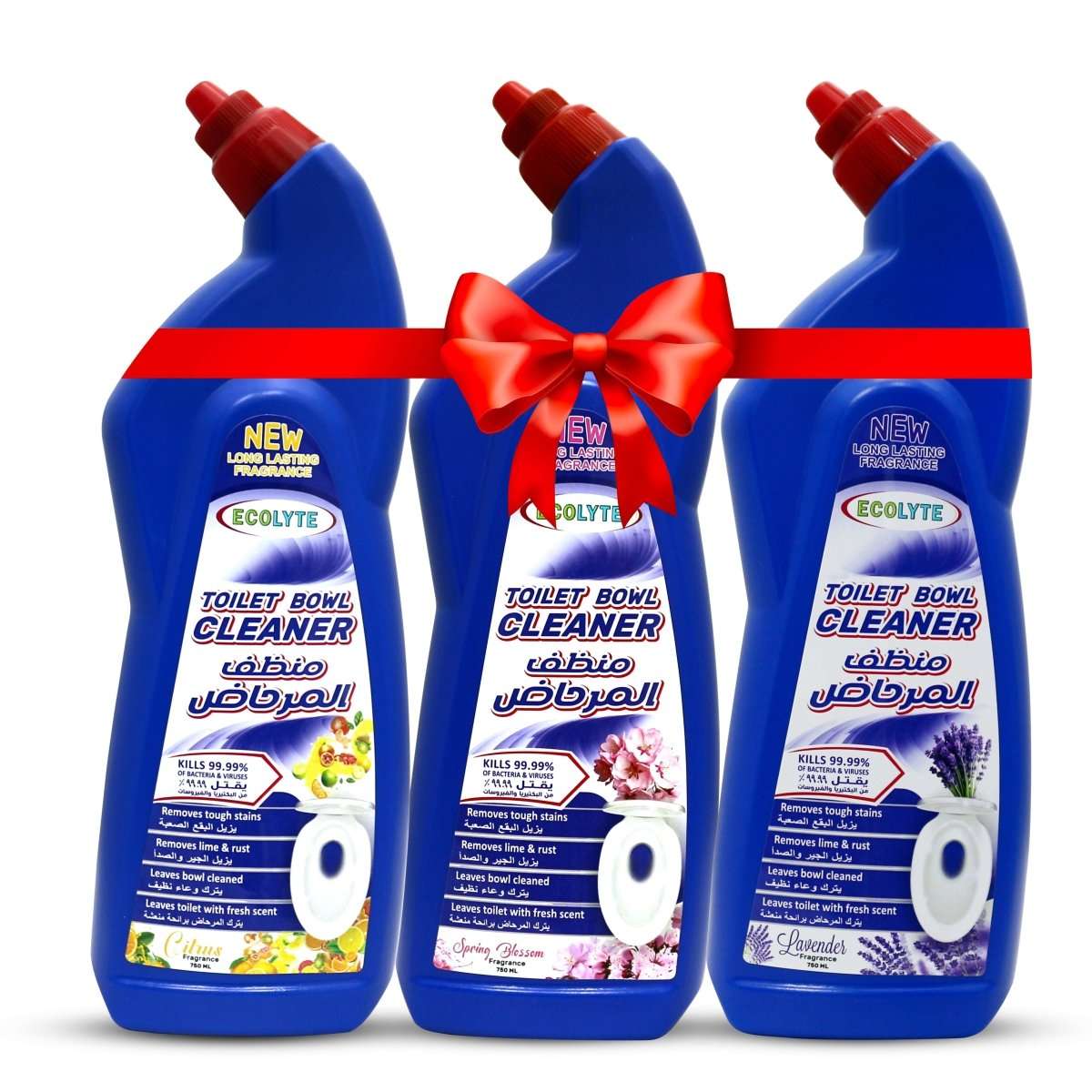 Toilet Bowl Cleaner Bundle - (Spring Blossom, Lavender & Citrus - 750 ml, pack of 3) - Ecolyte Plus