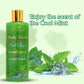 Body Wash with Scrub