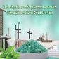 Dead Sea Salt