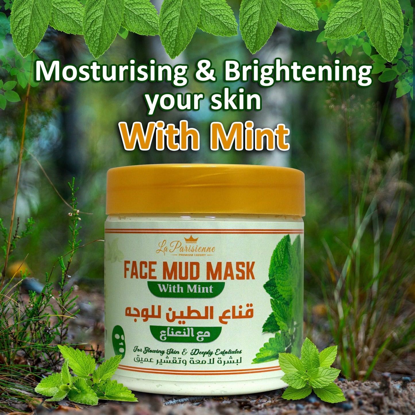 Face Mud Mask