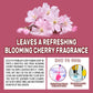 Floor Foaming Soap