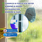 Premium Glass Cleaner