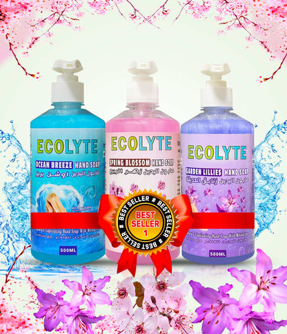 Hand Soap Bundle