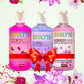 Hand Soap Bundle