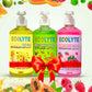 Hand Soap Bundle