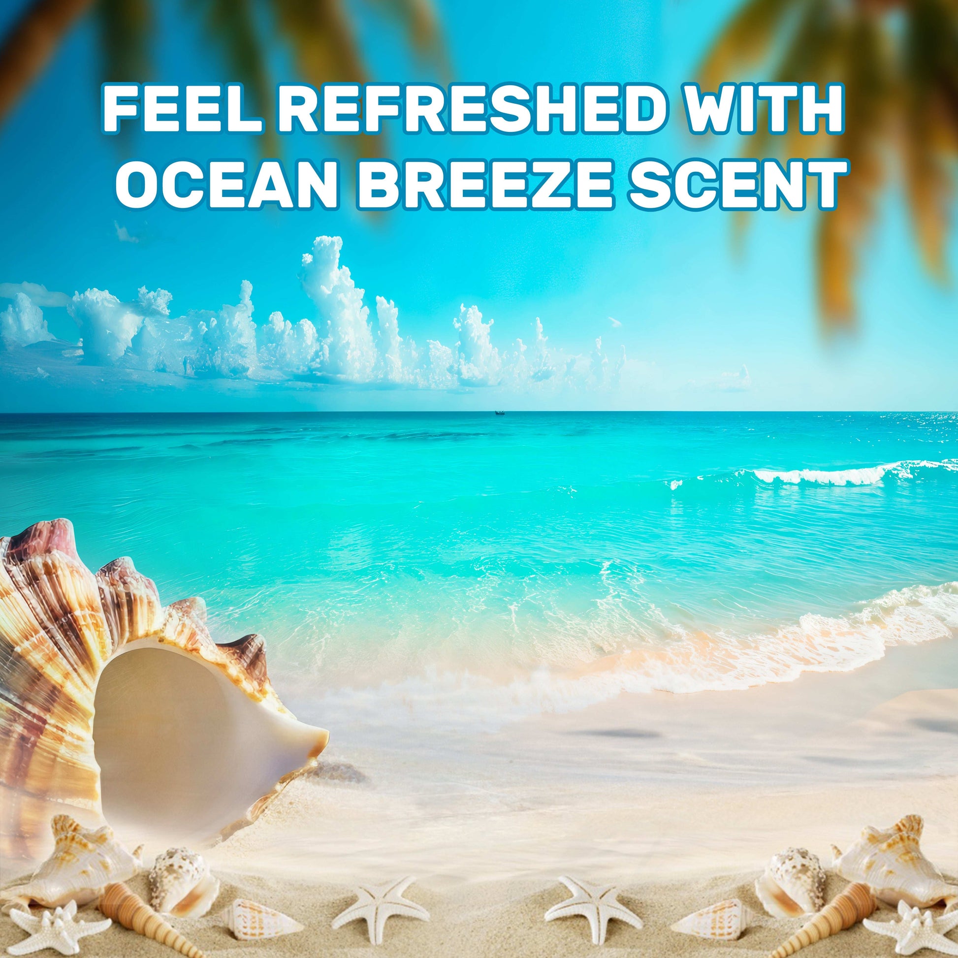 Liquid Laundry Detergent - (Ocean Breeze, Spring Blossom, Morning Oud & Royal Roses) - 2 liter+2 liter+2 liter+2 liter, (Pack of 4)