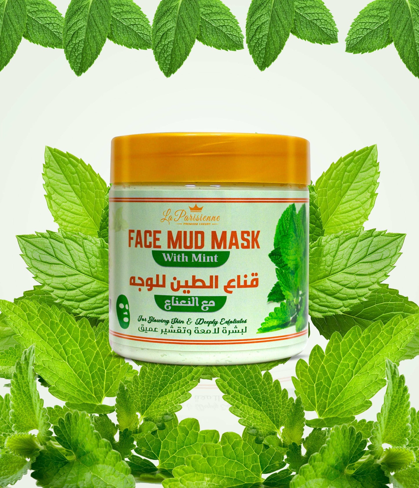 Face Mud Mask