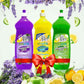 Dishwash All in One Bundle for Effortless Cleaning