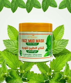 Face Mud Mask - Ecolyte Plus