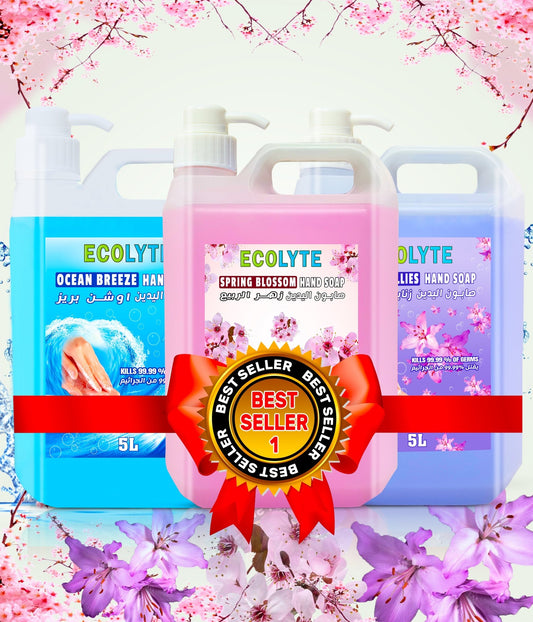 Hand Soap Bundle - Ecolyte Plus