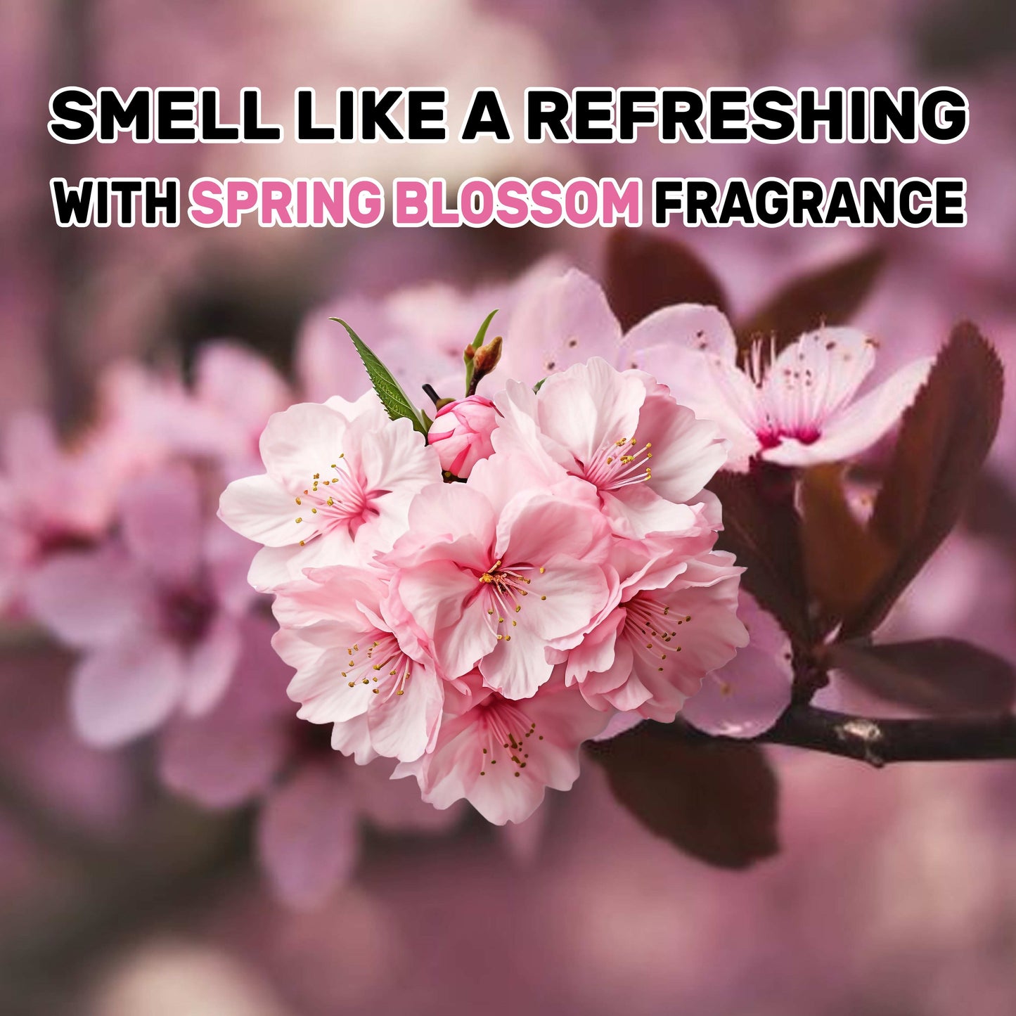 Liquid Laundry Detergent - (Ocean Breeze, Spring Blossom, Morning Oud & Royal Roses) - 2 liter+2 liter+2 liter+2 liter, (Pack of 4)